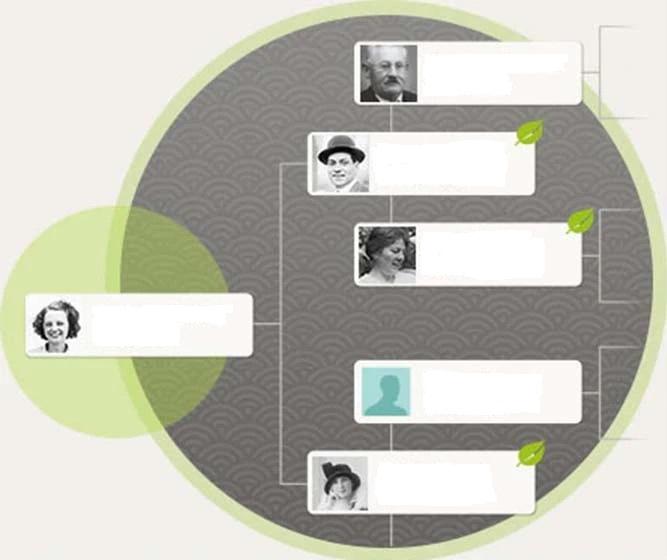 Image of a family tree